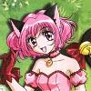 Mew mew amiche vincenti - Im024.JPG