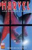 Marvel : Les grandes sagas : Spiderman T.1