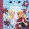 La reine des neiges - Mes 5 super puzzles