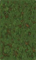 Runewars - Grassy Field Playmat