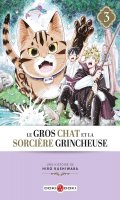 Le gros chat et la sorcire grincheuse T.3