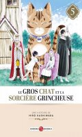 Le gros chat et la sorcire grincheuse T.5