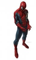 Spiderman T.100