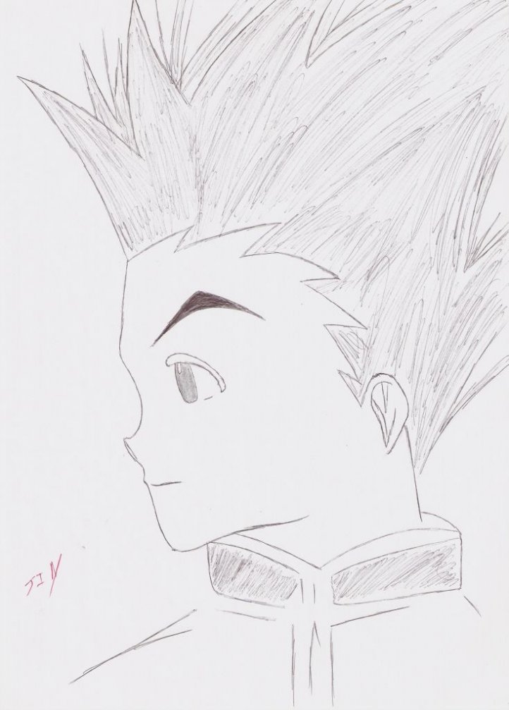 Gon