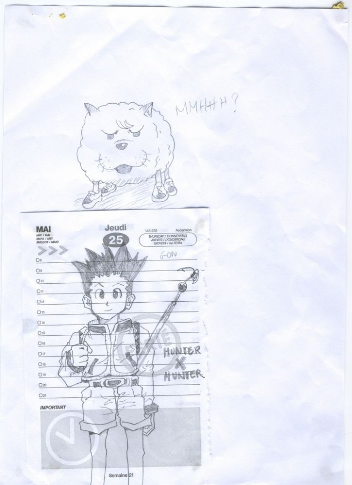 Gon (HxH) et le chien (j'sais plus c'est dans quoi xD)